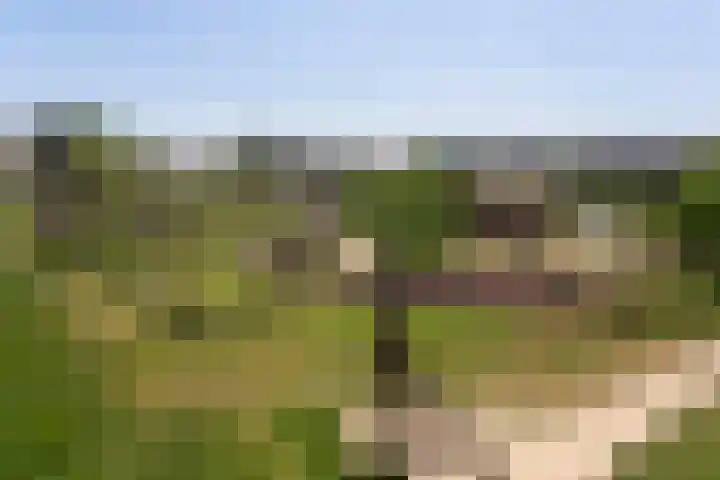 Derde Oosterparklaan 34 Utrecht thumbnail 62