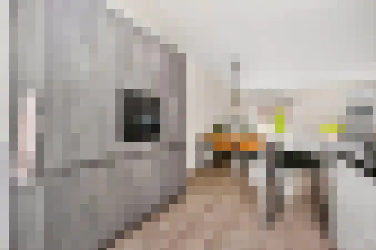 Derde Oosterparklaan 35 Utrecht thumbnail 11