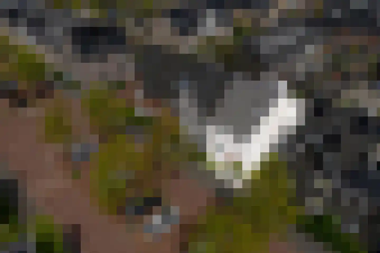 Derde Oosterparklaan 35 Utrecht thumbnail 33