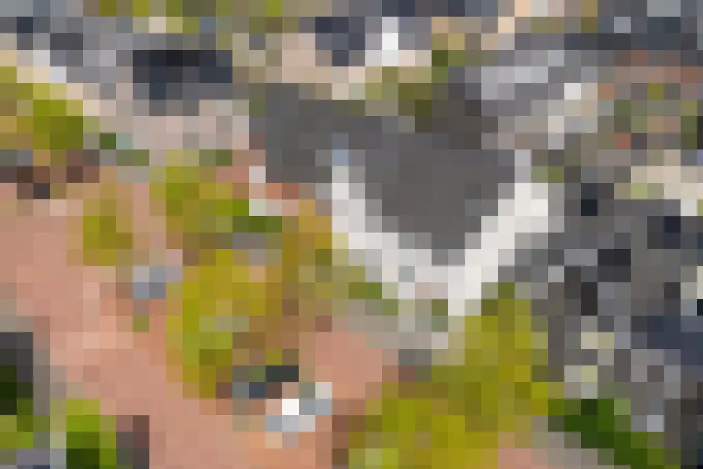 Derde Oosterparklaan 35 Utrecht thumbnail 35
