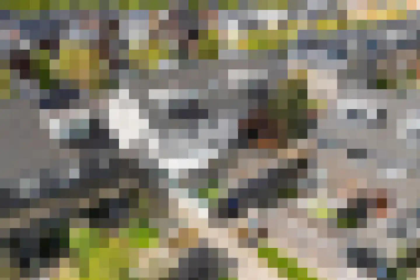 Derde Oosterparklaan 35 Utrecht thumbnail 42