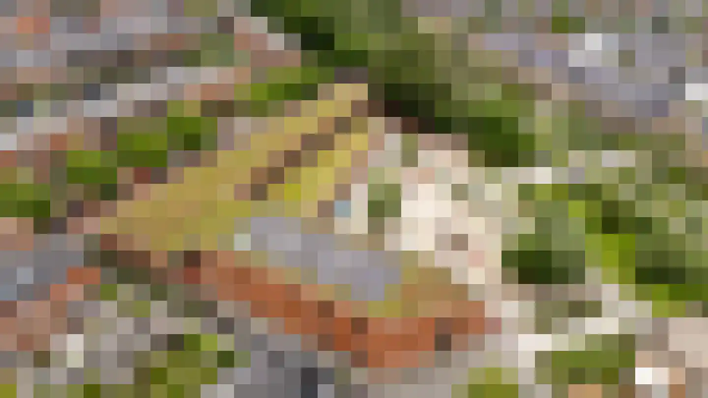 Derde Oosterparklaan 50 Utrecht thumbnail 49