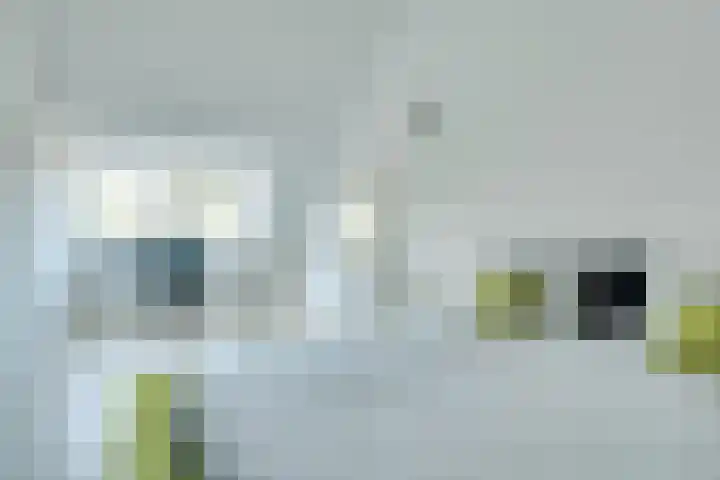 Derde Oosterparklaan 61 Utrecht thumbnail 4