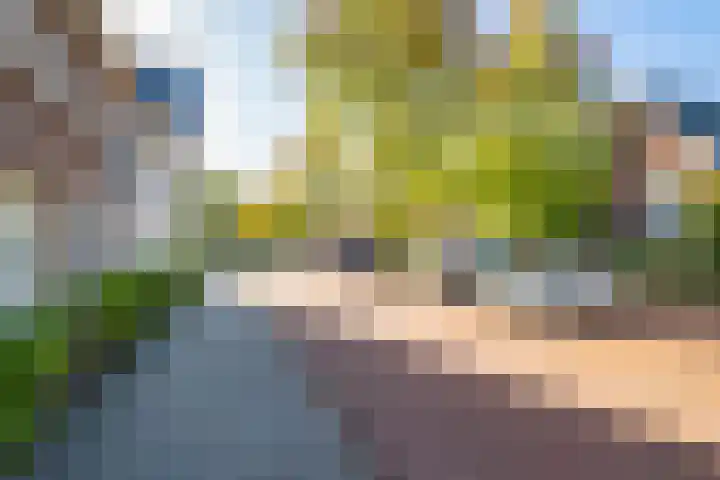 Derde Oosterparklaan 61 Utrecht thumbnail 47