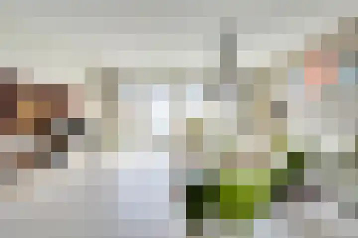Derde Oosterparklaan 61 Utrecht thumbnail 8