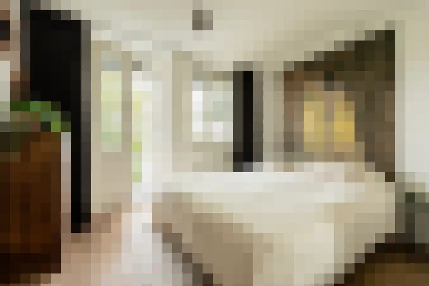 Derde Oosterparkstraat 133 B Amsterdam thumbnail 17