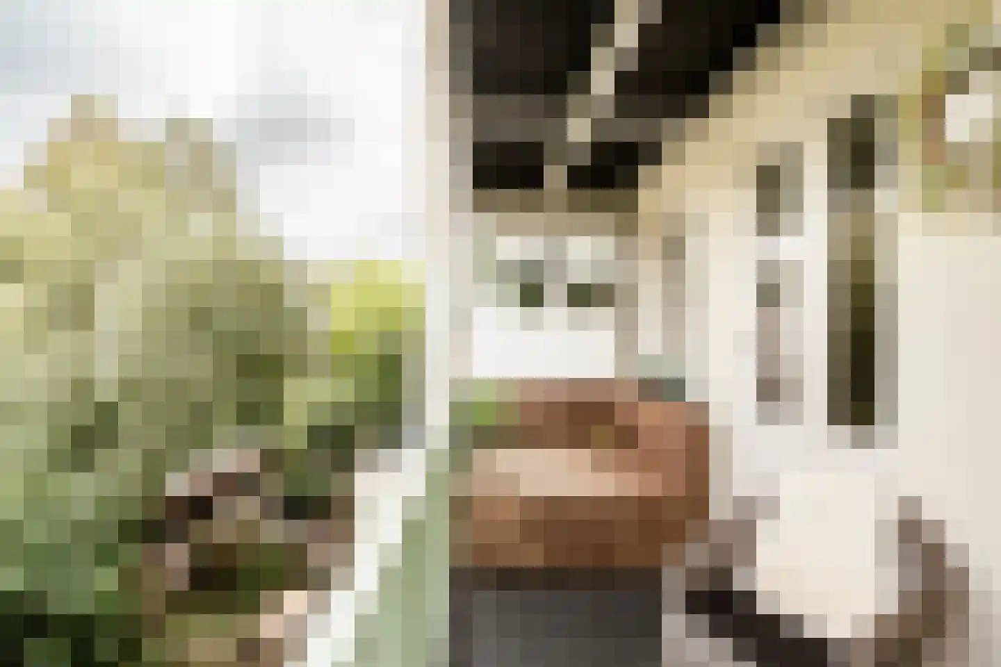 Derde Oosterparkstraat 133 B Amsterdam thumbnail 6