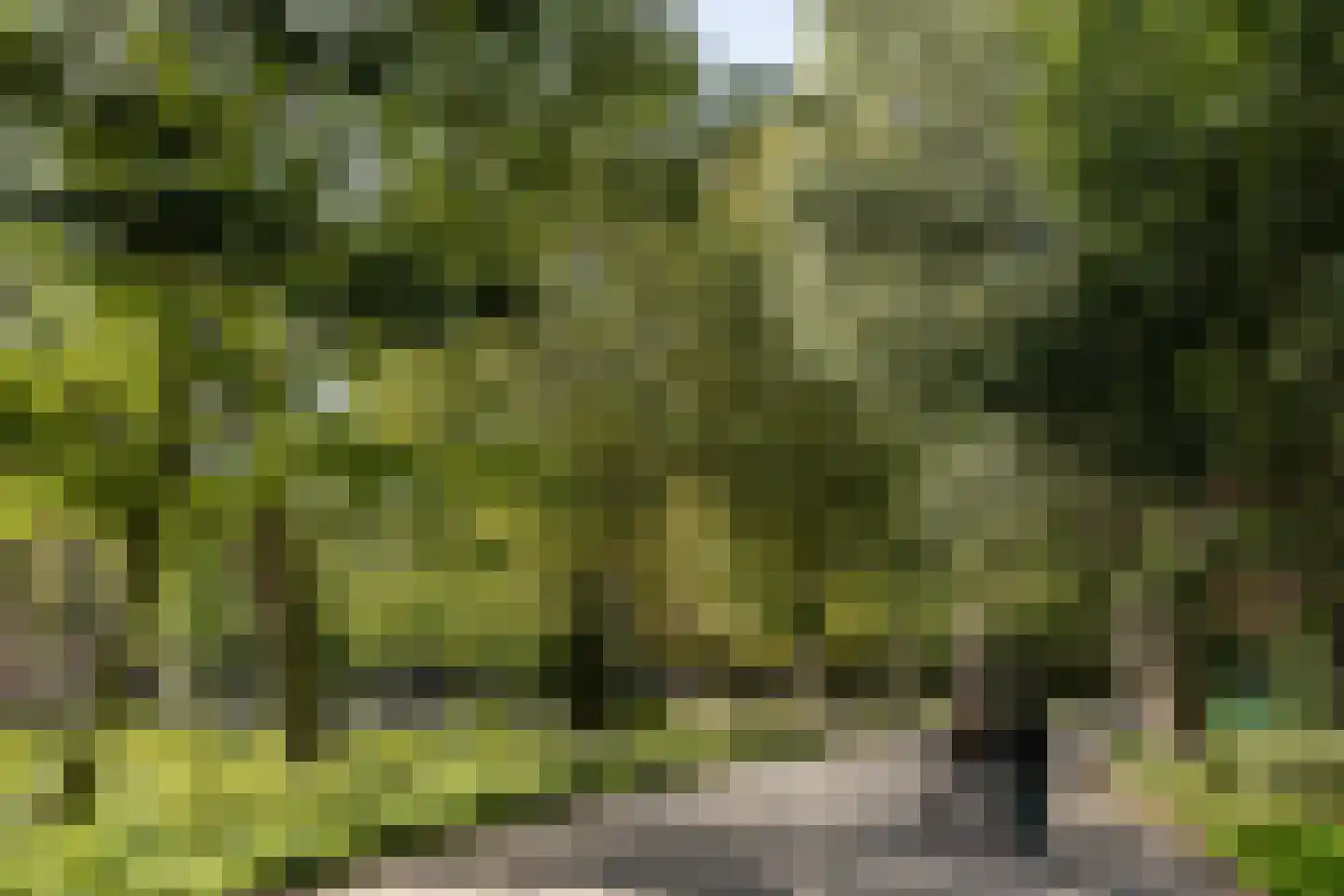Derde Oosterparkstraat 147 B Amsterdam thumbnail 24