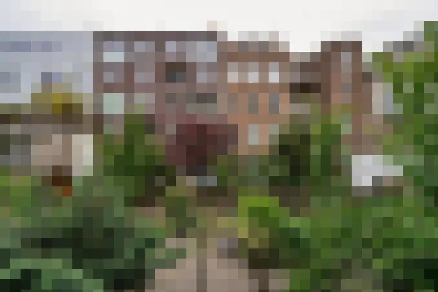 Derde Oosterparkstraat 339 Amsterdam thumbnail 29