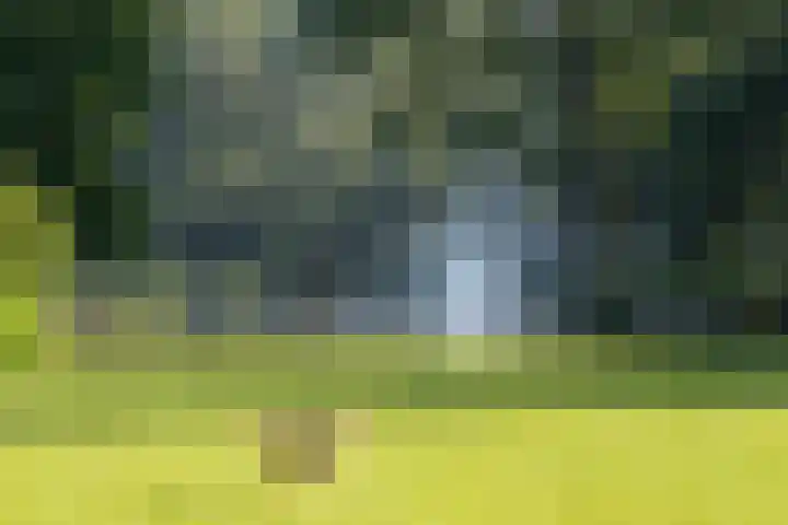 Derde Oosterparkstraat 68 2 Amsterdam thumbnail 38
