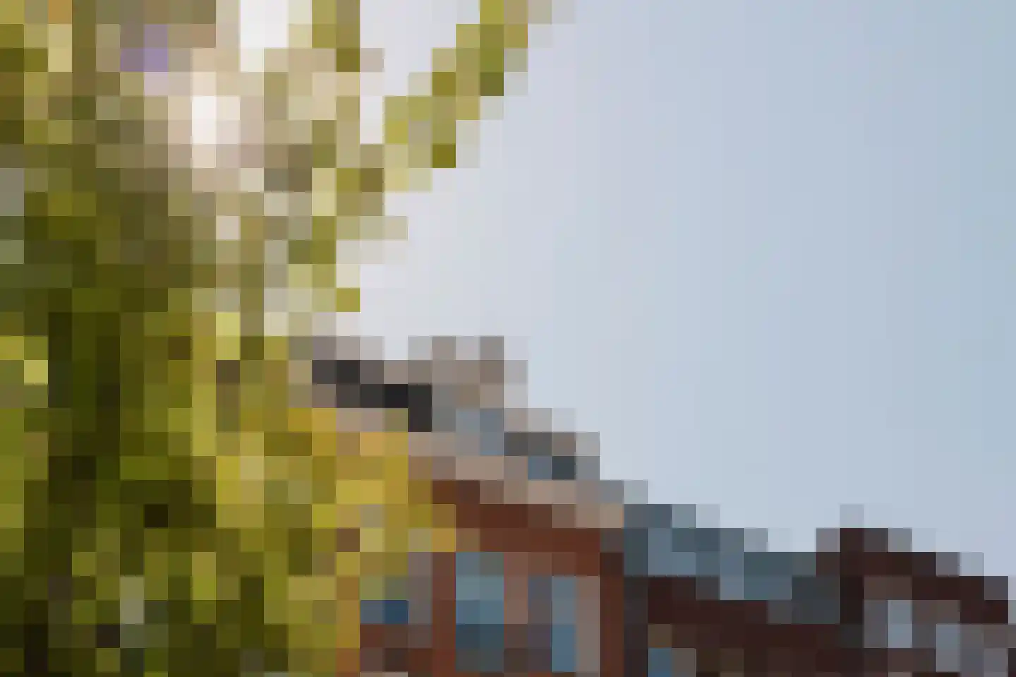 Derde Oosterparkstraat 68 5 Amsterdam thumbnail 4