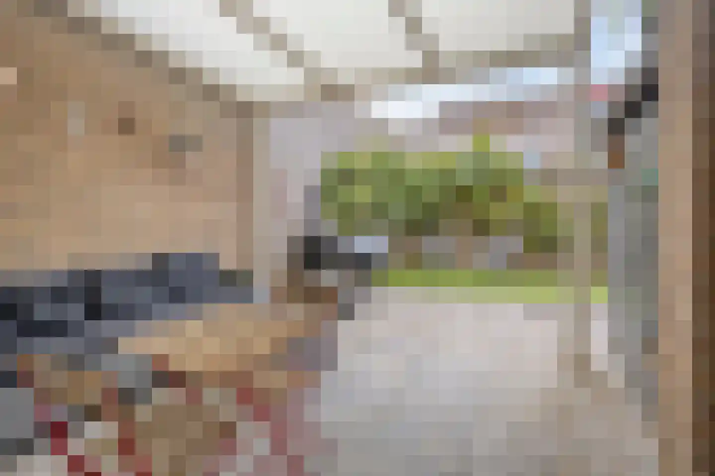 Derde Rompert 101 's-Hertogenbosch thumbnail 19