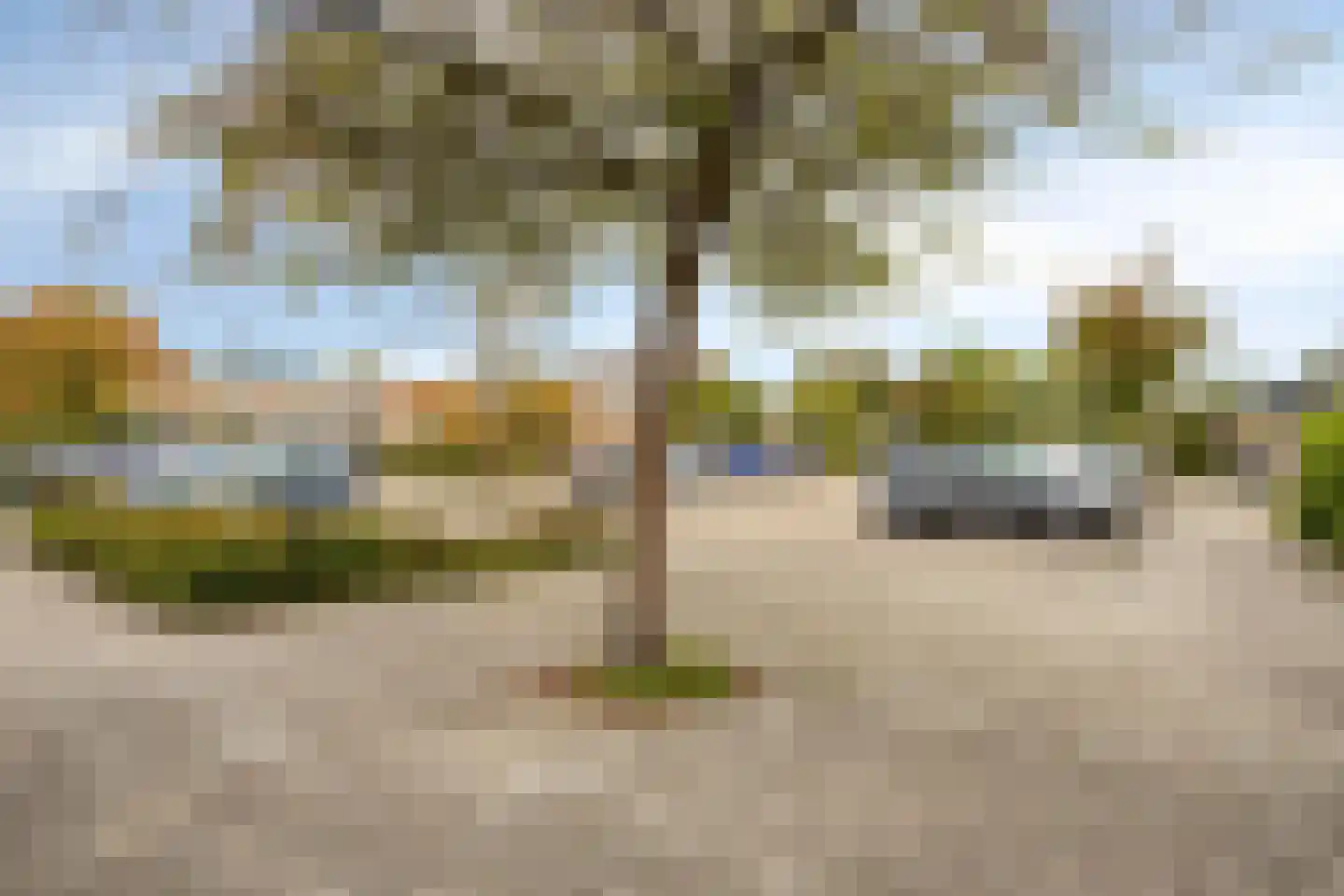 Derde Rompert 101 's-Hertogenbosch thumbnail 28