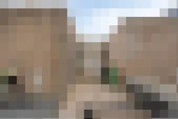 Derde Rompert 103 's-Hertogenbosch thumbnail 21