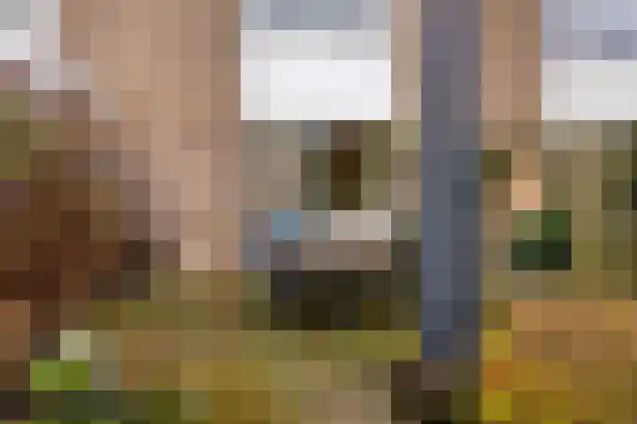 Derde Rompert 122 's-Hertogenbosch thumbnail 38