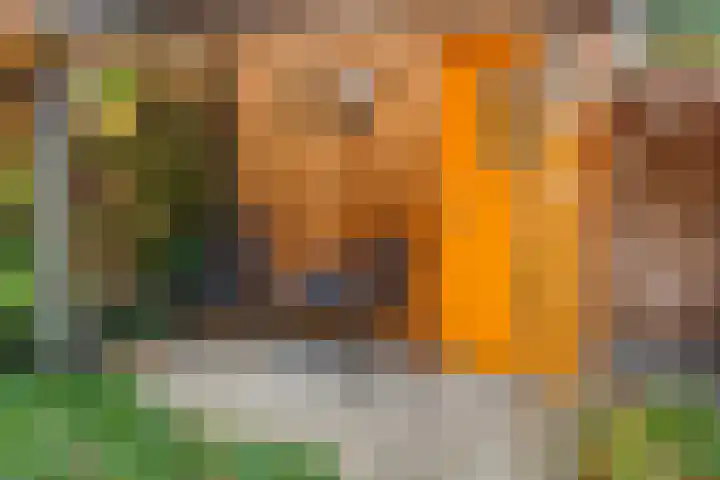 Derde Rompert 122 's-Hertogenbosch thumbnail 39