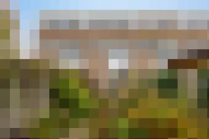 Derde Rompert 122 's-Hertogenbosch thumbnail 40