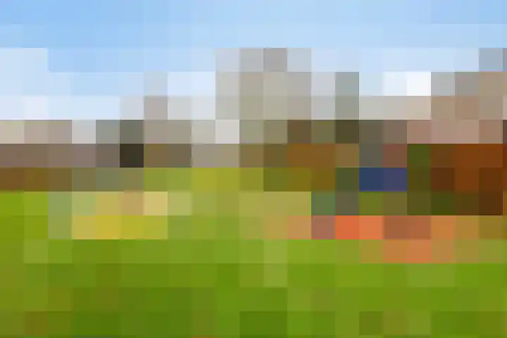 Derde Rompert 122 's-Hertogenbosch thumbnail 41