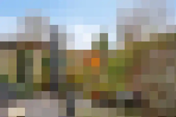 Derde Rompert 122 's-Hertogenbosch thumbnail 6