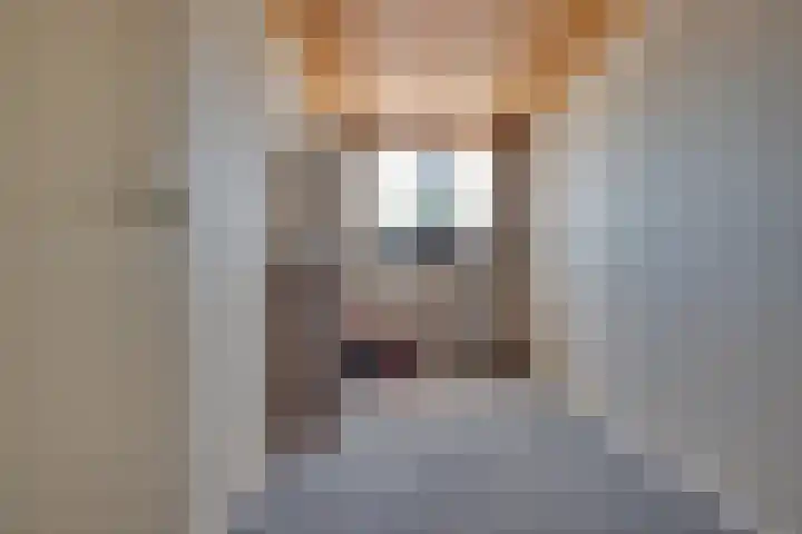 Derde Rompert 14 's-Hertogenbosch thumbnail 15