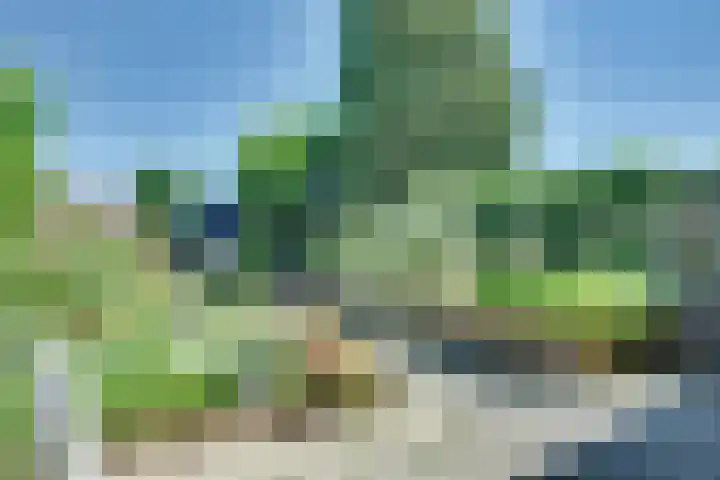 Derde Rompert 14 's-Hertogenbosch thumbnail 18