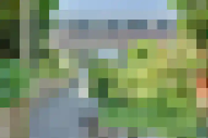 Derde Rompert 14 's-Hertogenbosch thumbnail 19