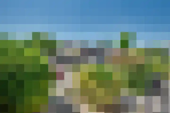 Derde Rompert 14 's-Hertogenbosch thumbnail 23