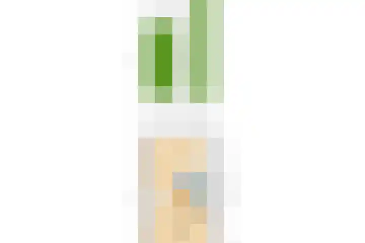 Derde Rompert 14 's-Hertogenbosch thumbnail 31