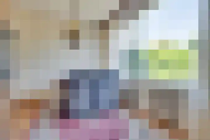 Derde Rompert 14 's-Hertogenbosch thumbnail 8