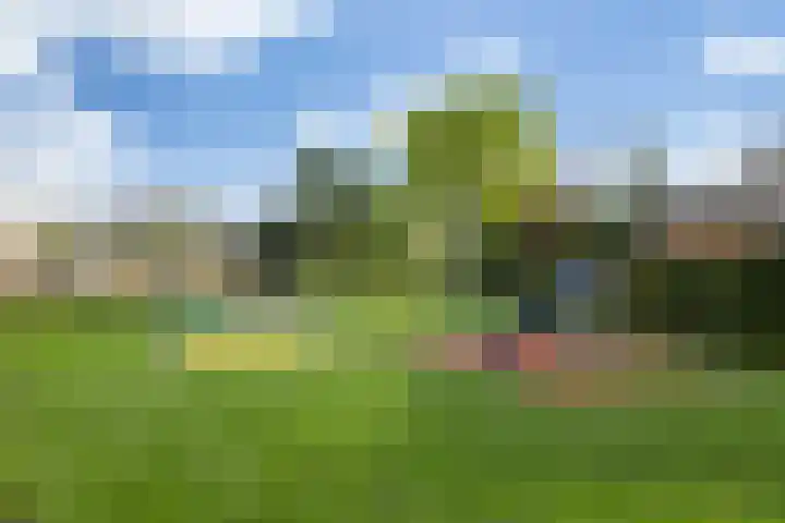 Derde Rompert 50 's-Hertogenbosch thumbnail 30