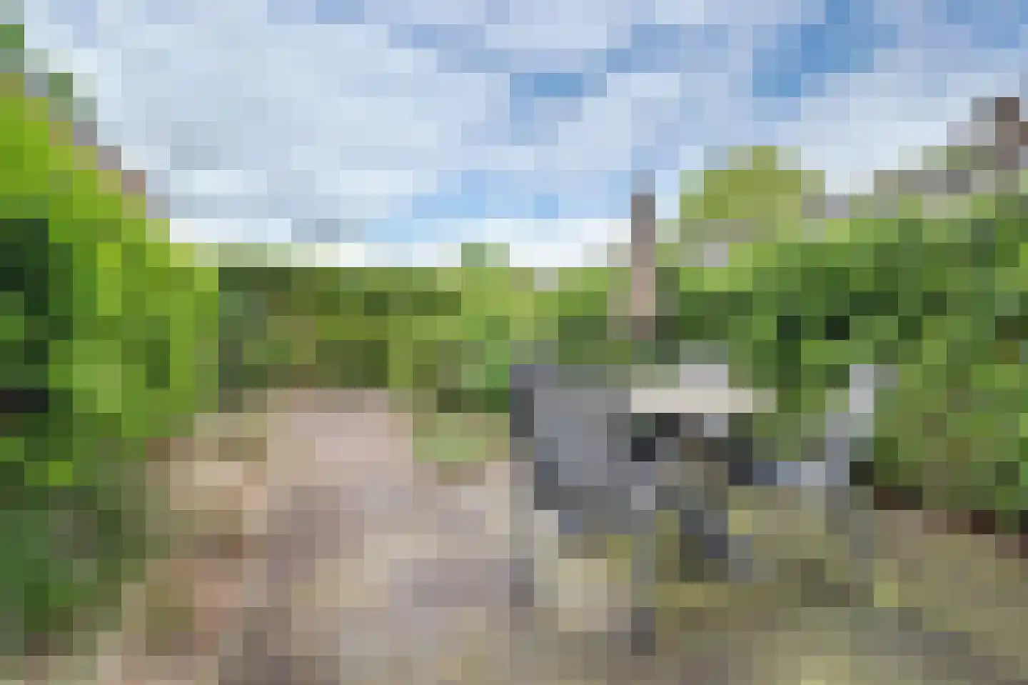 Derde Rompert 82 's-Hertogenbosch thumbnail 41