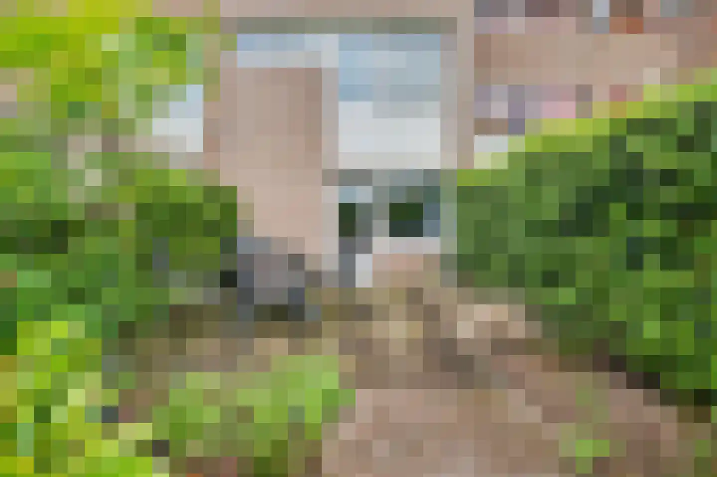 Derde Rompert 82 's-Hertogenbosch thumbnail 42