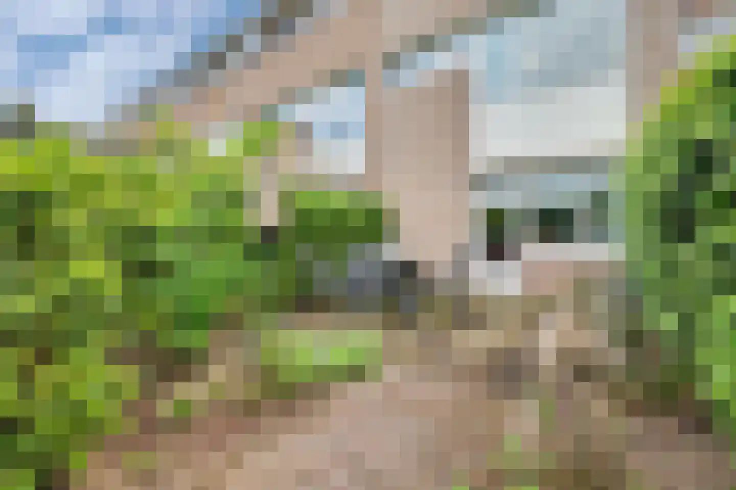 Derde Rompert 82 's-Hertogenbosch thumbnail 44