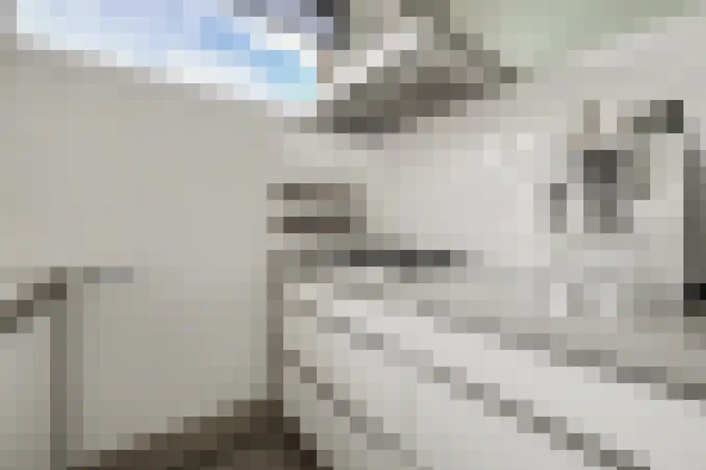 Derde Rompert 82 's-Hertogenbosch thumbnail 9