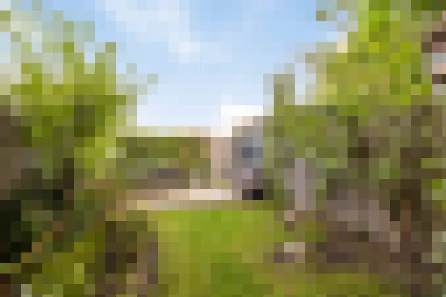 Derde Rompert 84 's-Hertogenbosch thumbnail 29