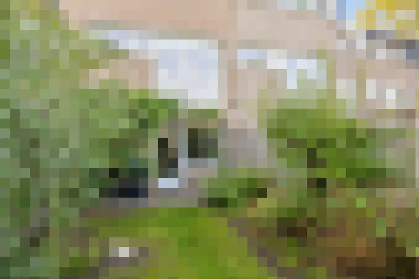 Derde Rompert 84 's-Hertogenbosch thumbnail 32