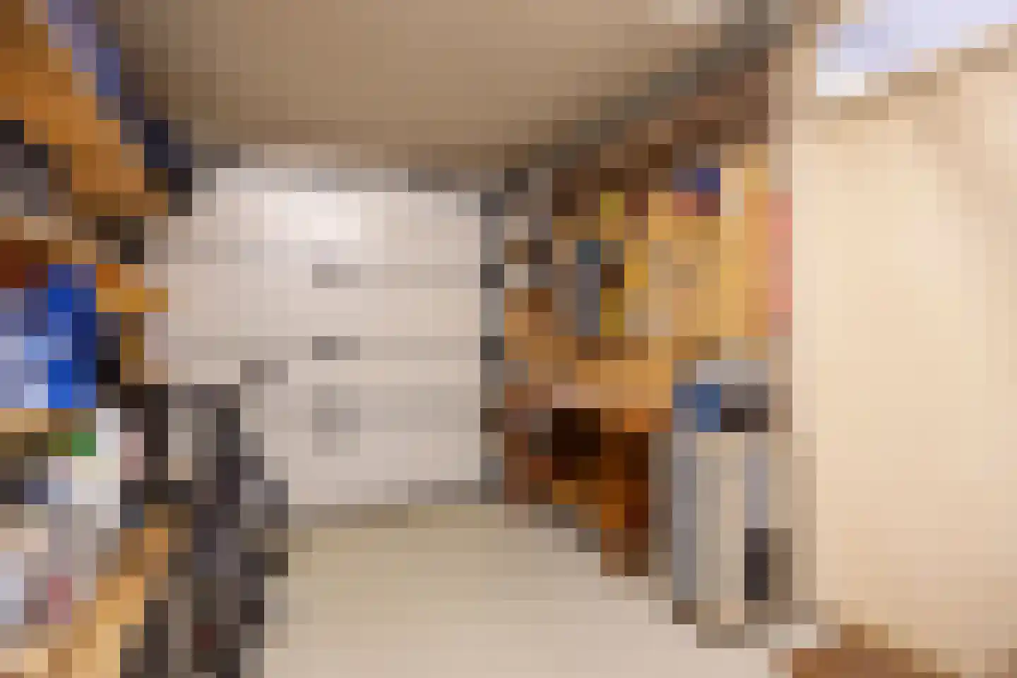 Derde Rompert 84 's-Hertogenbosch thumbnail 34