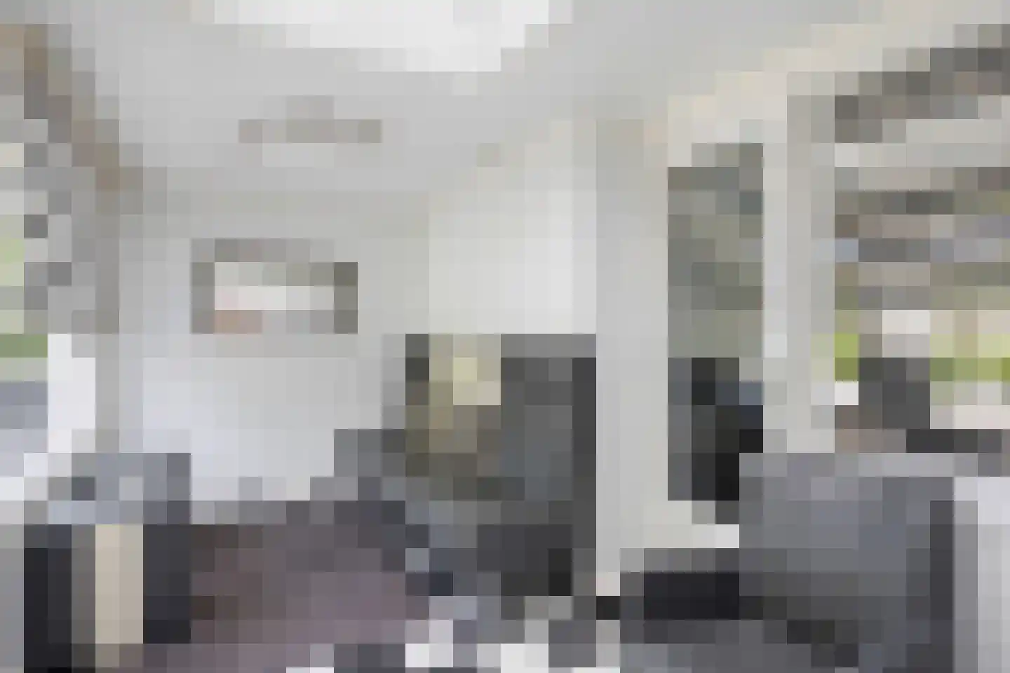 Derde Rompert 90 's-Hertogenbosch thumbnail 20