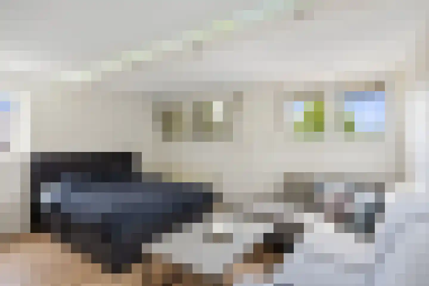 Derde Rompert 90 's-Hertogenbosch thumbnail 34
