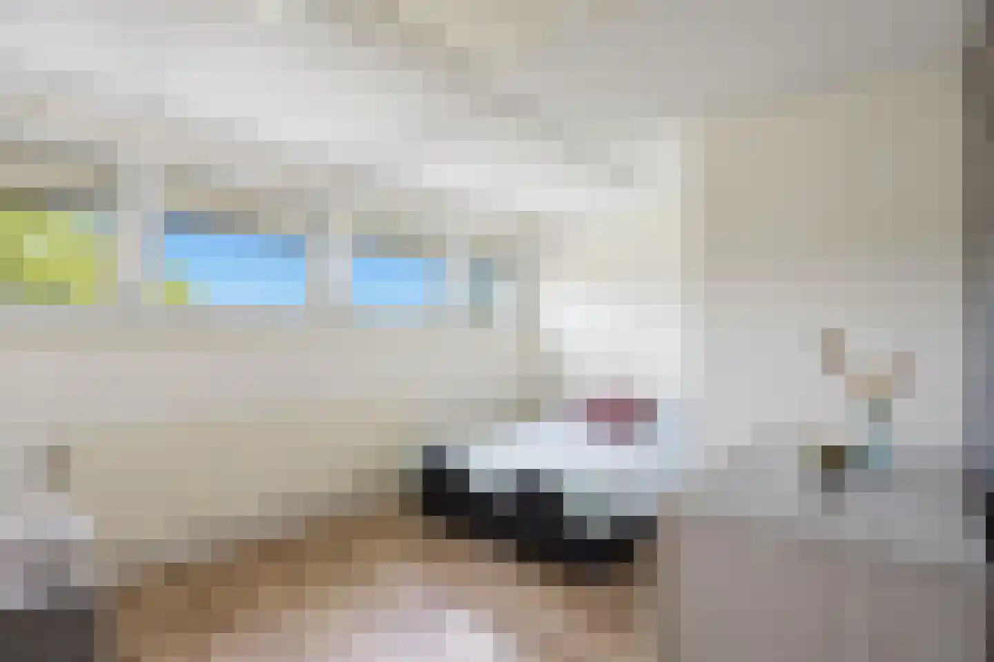 Derde Rompert 90 's-Hertogenbosch thumbnail 36