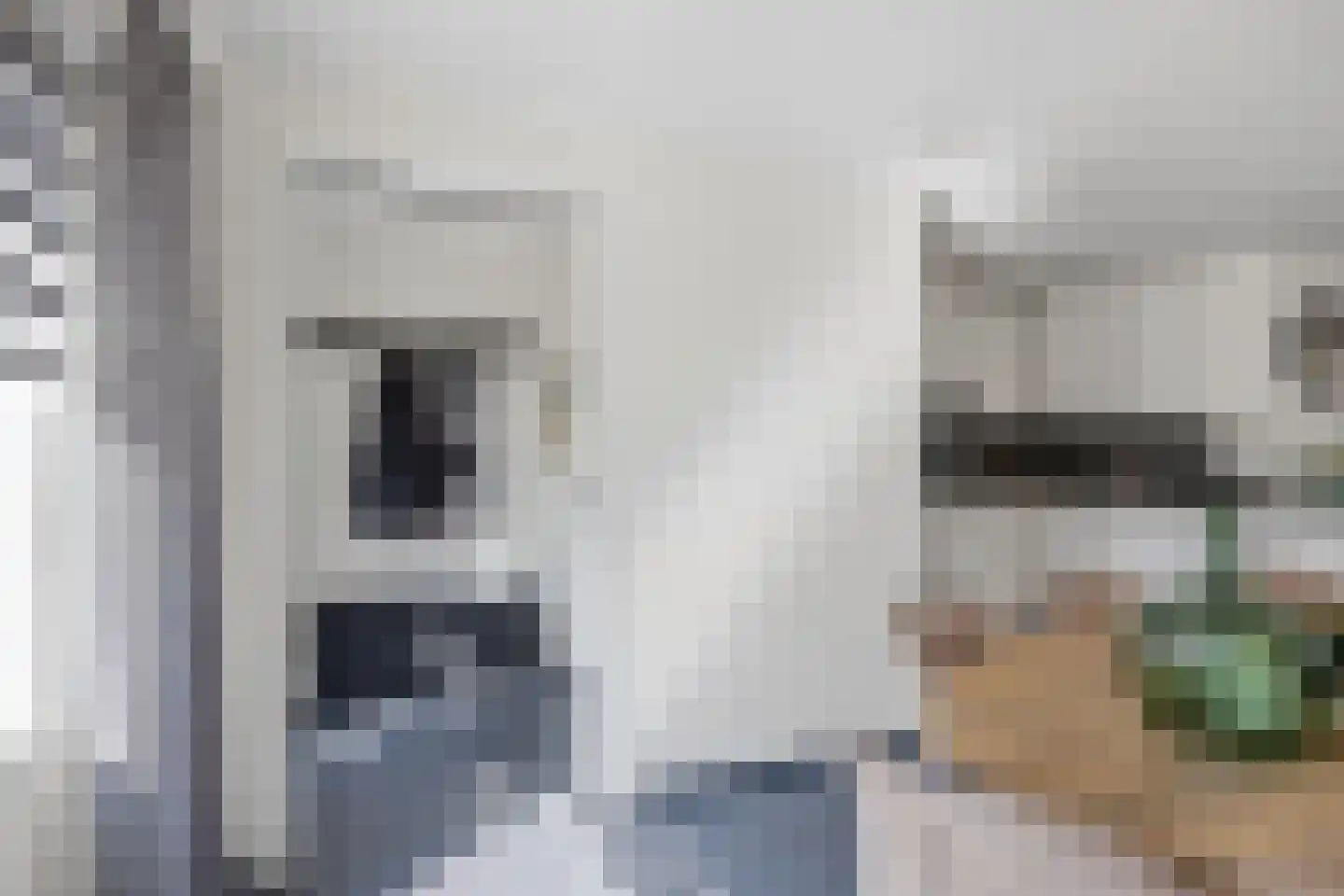 Derde Rompert 90 's-Hertogenbosch thumbnail 7