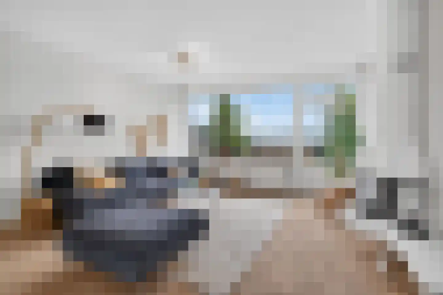 Derde Rompert 96 's-Hertogenbosch thumbnail 19
