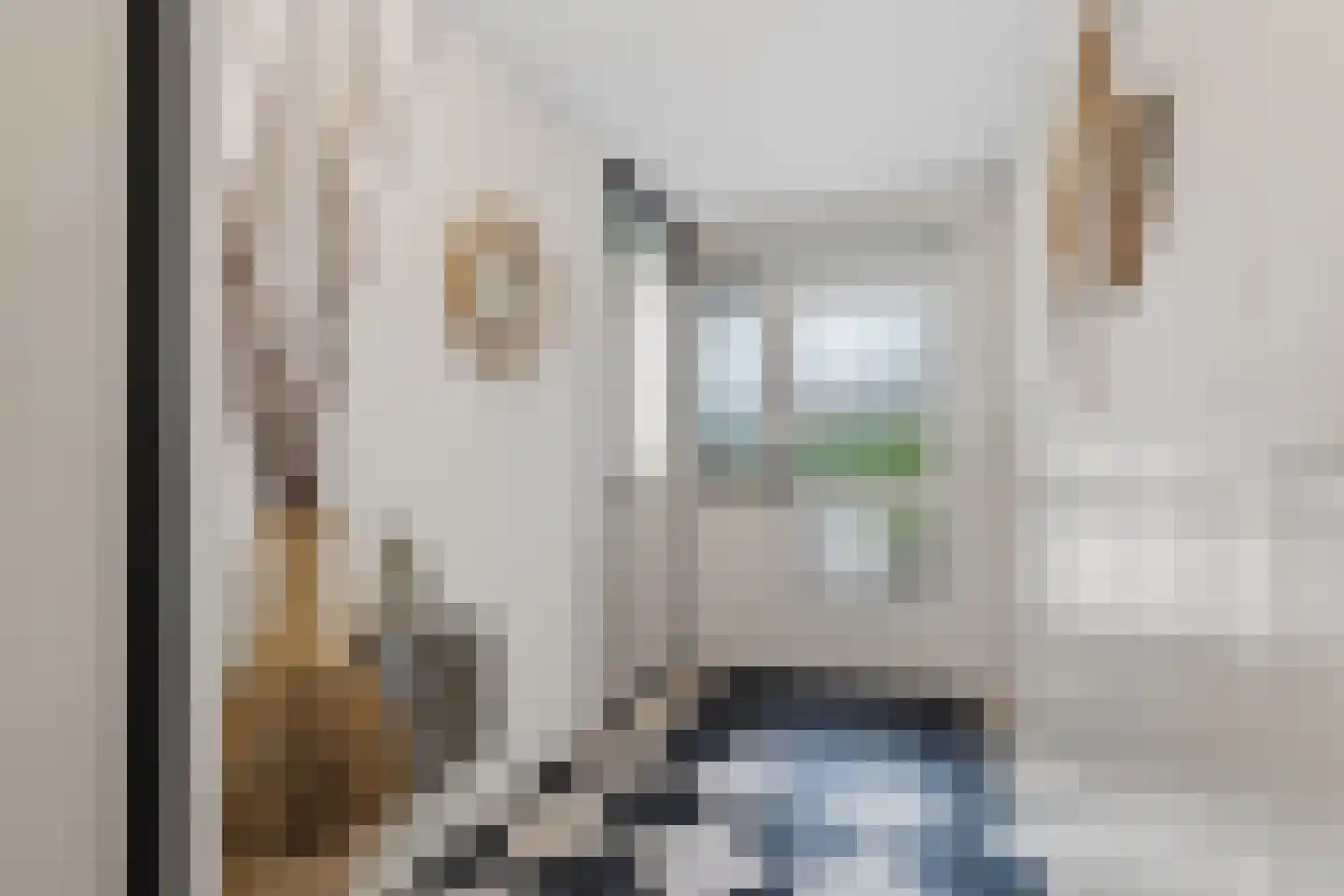 Derde Rompert 96 's-Hertogenbosch thumbnail 4