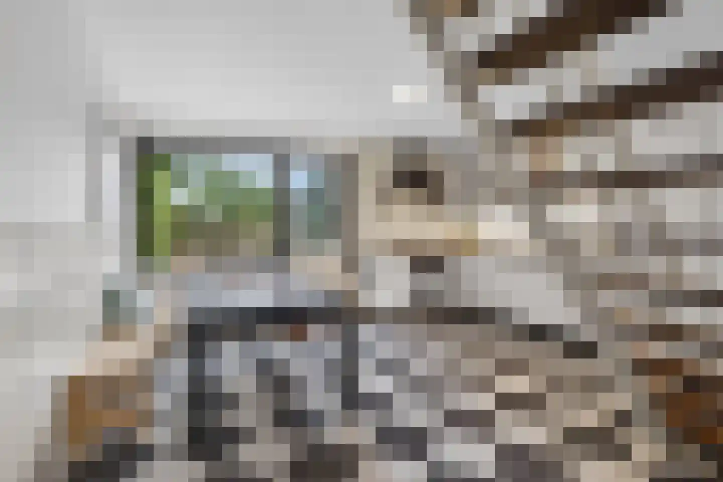 Derde Rompert 96 's-Hertogenbosch thumbnail 5