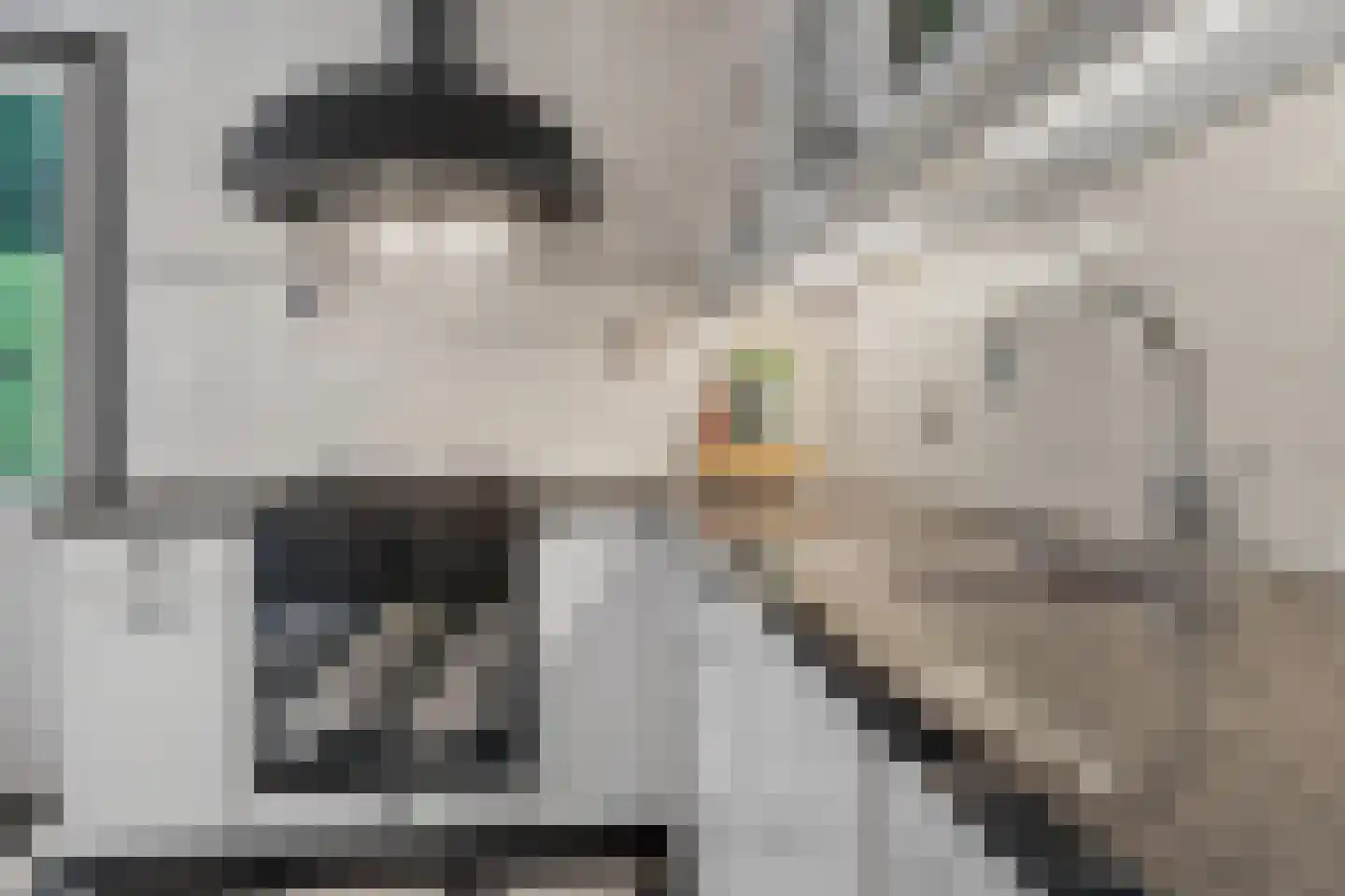 Derde Rompert 96 's-Hertogenbosch thumbnail 7