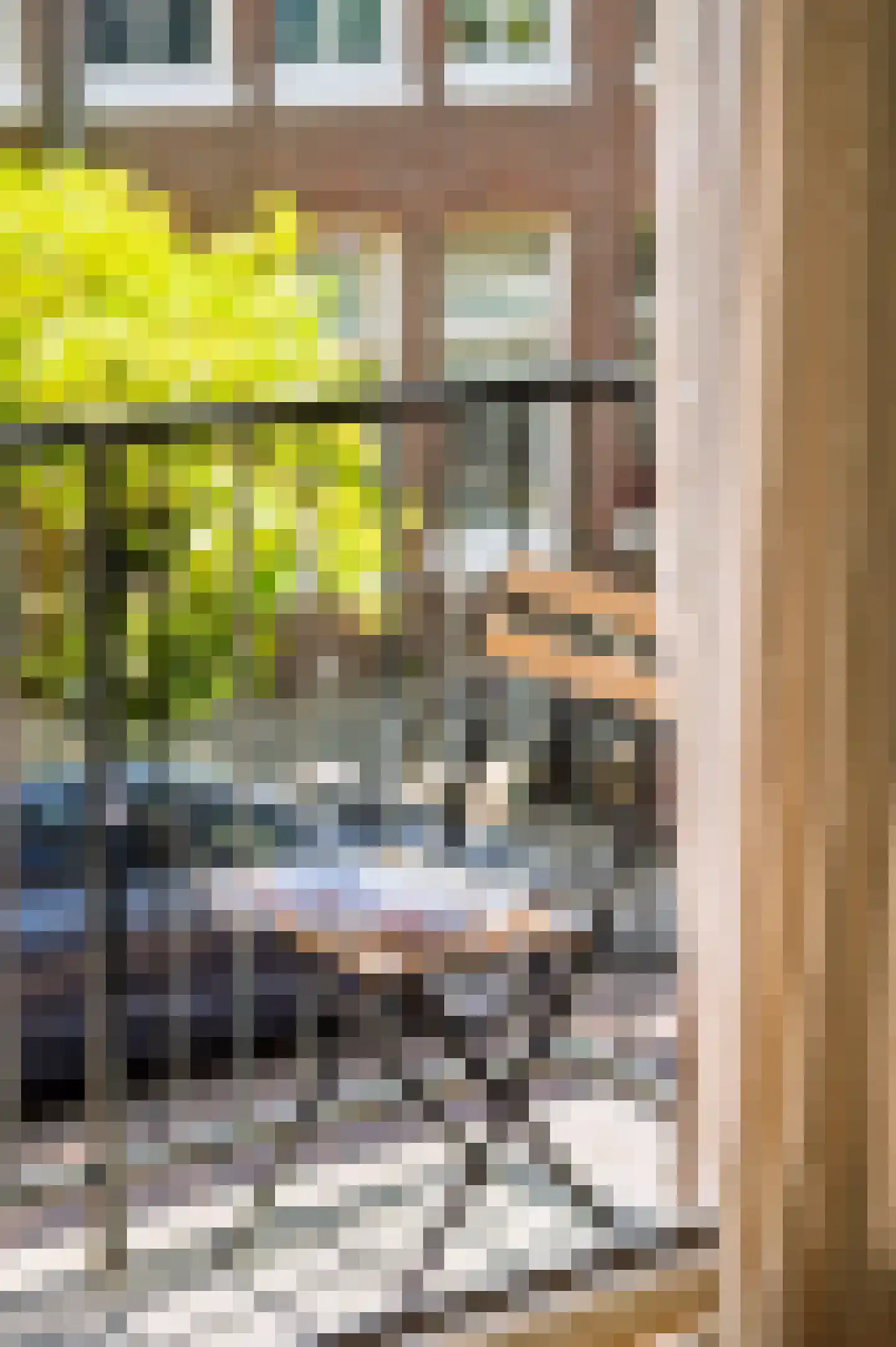 Derde Schinkelstraat 18 1R Amsterdam thumbnail 18