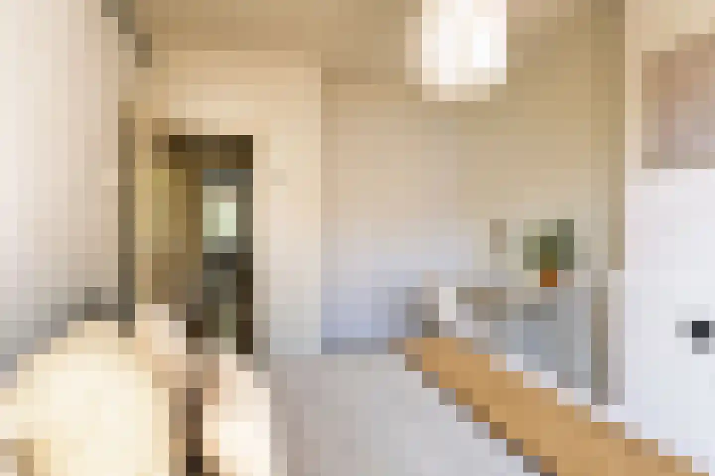 Derde Schinkelstraat 18 1R Amsterdam thumbnail 20
