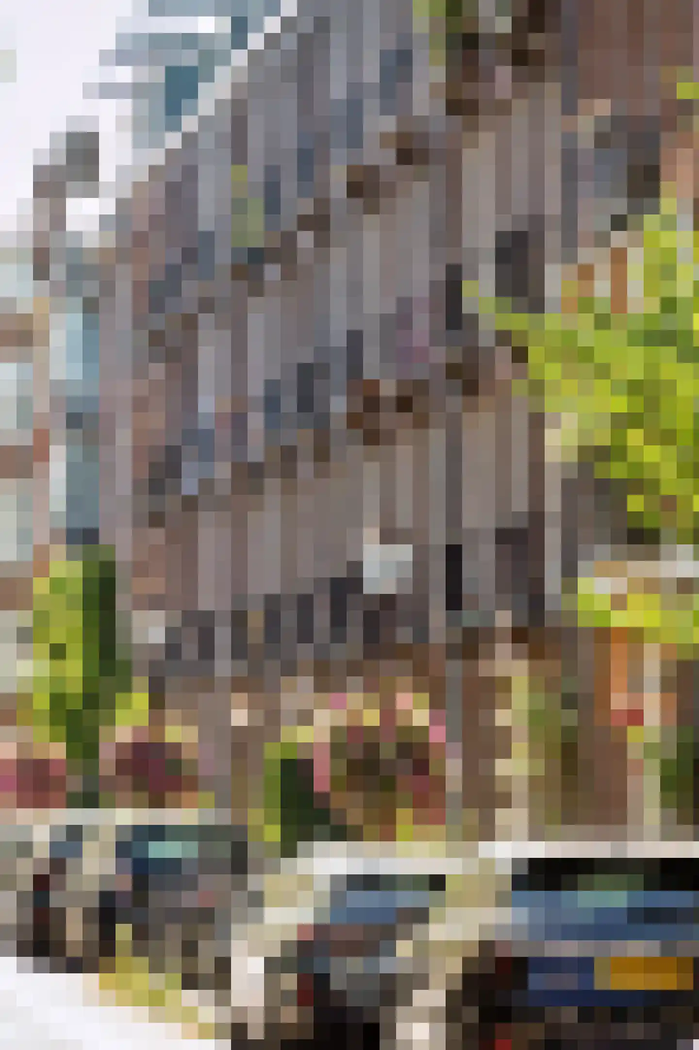 Derde Schinkelstraat 18 1R Amsterdam thumbnail 26