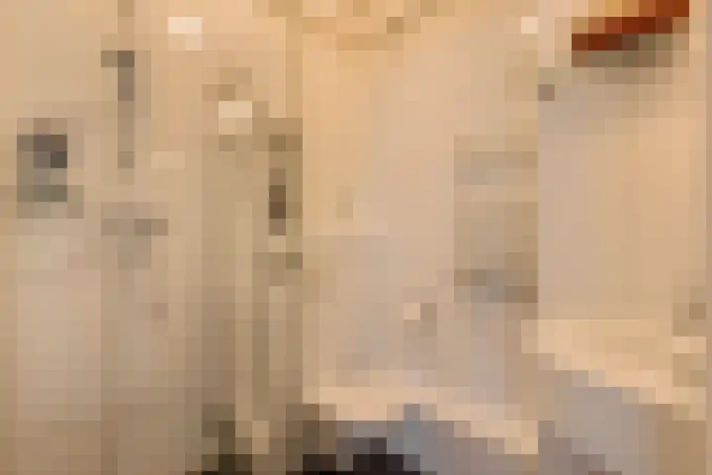 Derde Schinkelstraat 2 D Amsterdam thumbnail 18