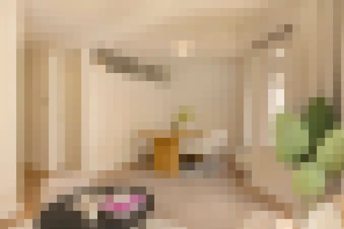 Derde Schinkelstraat 2 D Amsterdam thumbnail 9